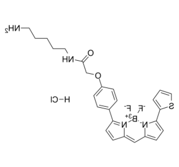 BODIPY TR Cadaverine BODIPY TR Cadaverine