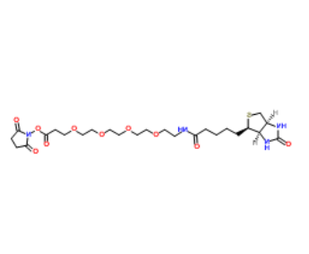 Biotin-PEG4-NHS ester 