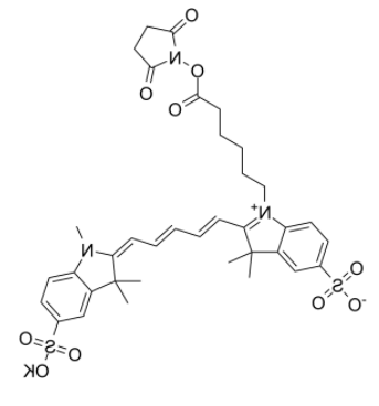 磺基花青5 NHS酯 磺基花青5 NHS酯