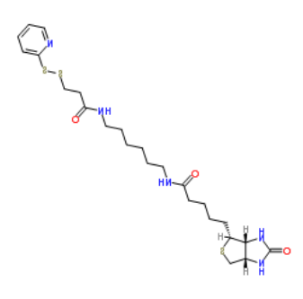 生物素-HPDP 生物素-HPDP
