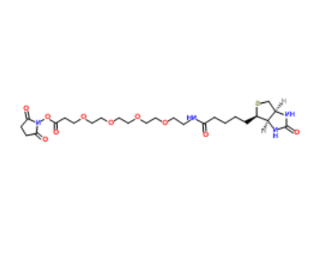 Biotin-PEG4-NHS ester Biotin-PEG4-NHS ester