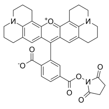 6-羧基-X-罗丹明琥珀酰亚胺酯 6-羧基-X-罗丹明琥珀酰亚胺酯