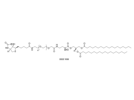 DSPE-PEG-Biotin (MW 1000) 