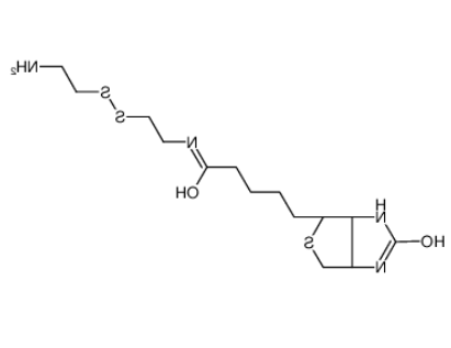 生物素半胱胺	  