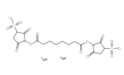 BS3 Crosslinker disodium BS3 Crosslinker disodium
