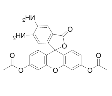 4,5-二氨基荧光素二乙酸酯 4,5-二氨基荧光素二乙酸酯