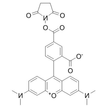 5-羧基四甲基罗丹明琥珀酰亚胺酯 5-羧基四甲基罗丹明琥珀酰亚胺酯