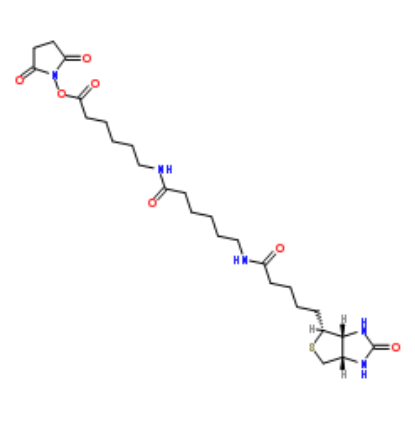 Biotin-LC-LC-NHS Biotin-LC-LC-NHS