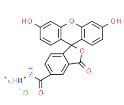 FAM hydrazide 5-isomer FAM hydrazide 5-isomer