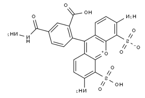 BP Fluor 488 Hydrazide BP Fluor 488 Hydrazide