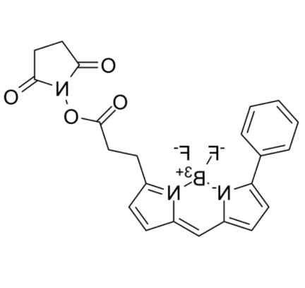 BIODIPY R6G ester BIODIPY R6G ester