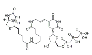 Biotin-11-dUTP Biotin-11-dUTP