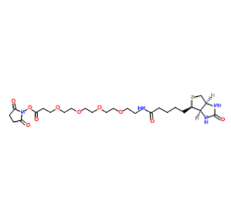 Biotin-PEG4-NHS ester Biotin-PEG4-NHS ester