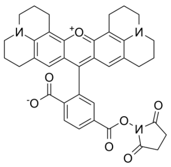 6-Rhodamine X NHS ester 6-Rhodamine X NHS ester