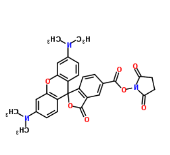 NHS-5(6)Carboxyrhodamine NHS-5(6)Carboxyrhodamine