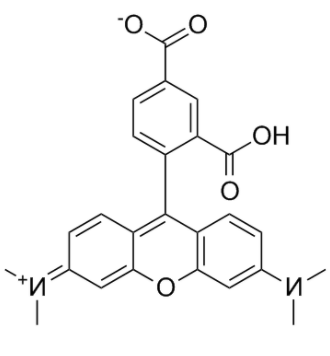 5-羧基四甲基罗丹明 5-羧基四甲基罗丹明