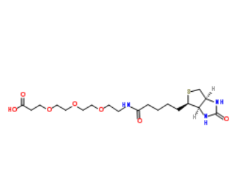 Biotin-PEG3-acid Biotin-PEG3-acid