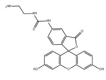 5-FITC-C2-amine 5-FITC-C2-amine