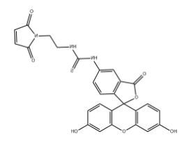 5-FITC-Maleimide 5-FITC-Maleimide