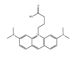ATTO 495 Acid