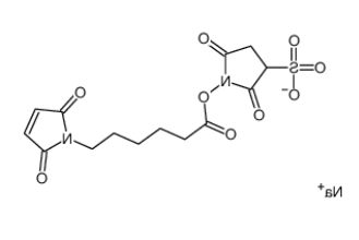 	磺酸基-EMCS	 