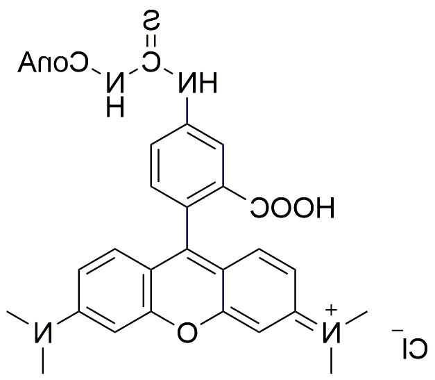 TRITC标记的Concanavalin A，TRITC-ConA用