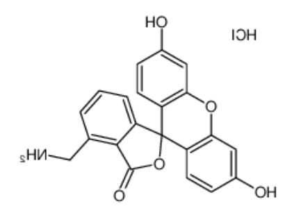 4’-胺甲基荧光素盐酸盐 4’-胺甲基荧光素盐酸盐