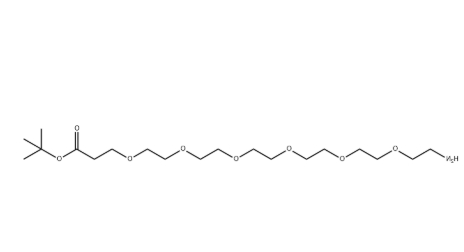 NH2-PEG6-CH2CH2COOtBu