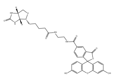 Biotin-4-fluorescein Biotin-4-fluorescein