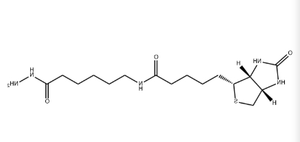 Biotin-LC-Hydrazide