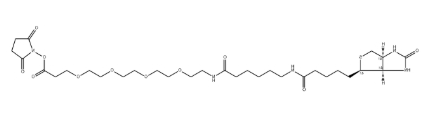 Biotin-LC-PEG4-NHS ester Biotin-LC-PEG4-NHS ester