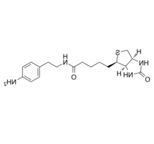 Biotin-aniline 