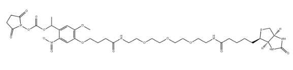 生物素-PEG3-NHS酯