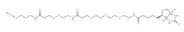Biotin-PEG3-SS-azide Biotin-PEG3-SS-azide