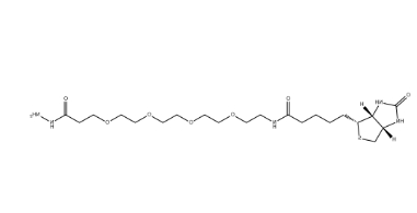 (+)-Biotin-PEG4-Hydrazide (+)-Biotin-PEG4-Hydrazide