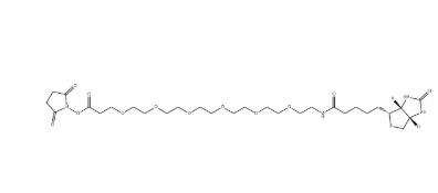 (+)-Biotin-PEG6-NHS Ester (+)-Biotin-PEG6-NHS Ester