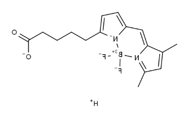 BODIPY FL C5 BODIPY FL C5