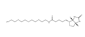 （+）-Biotin-PEG3-CH2CH2NH2