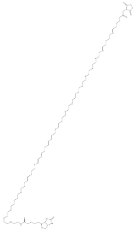 （+）-Biotin-PEG12-NHS Ester
