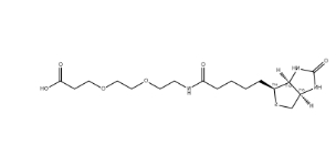 (+)-Biotin-PEG2-CH2CH2COOH (+)-Biotin-PEG2-CH2CH2COOH