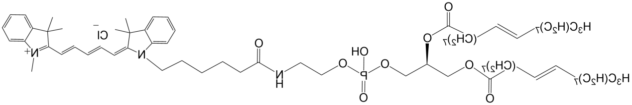 CY5标记二油酰磷脂酰乙醇胺，CY5标记DOPE