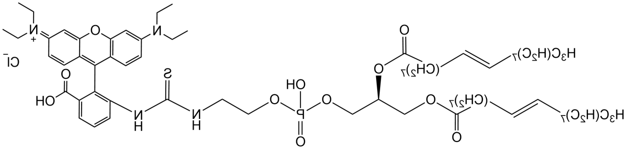 DOPE-RB，罗丹明B标记磷脂酰乙醇胺