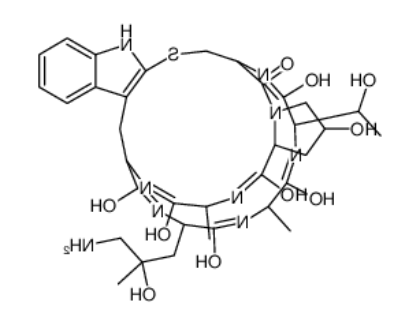 ((R)-4-Hydroxy-4-methyl-Orn⁷)-Phalloidin 