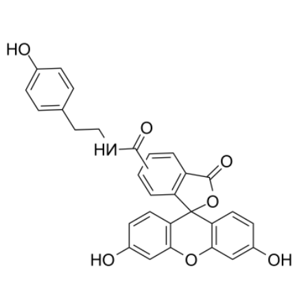 Fluorescein tyramide Fluorescein tyramide