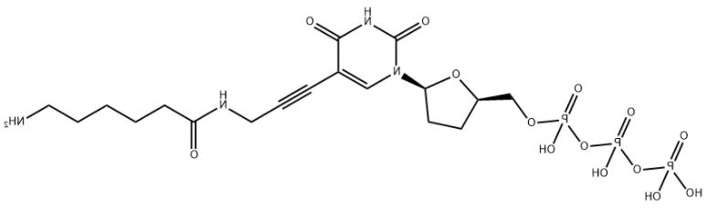 Amino-11-ddUTP 