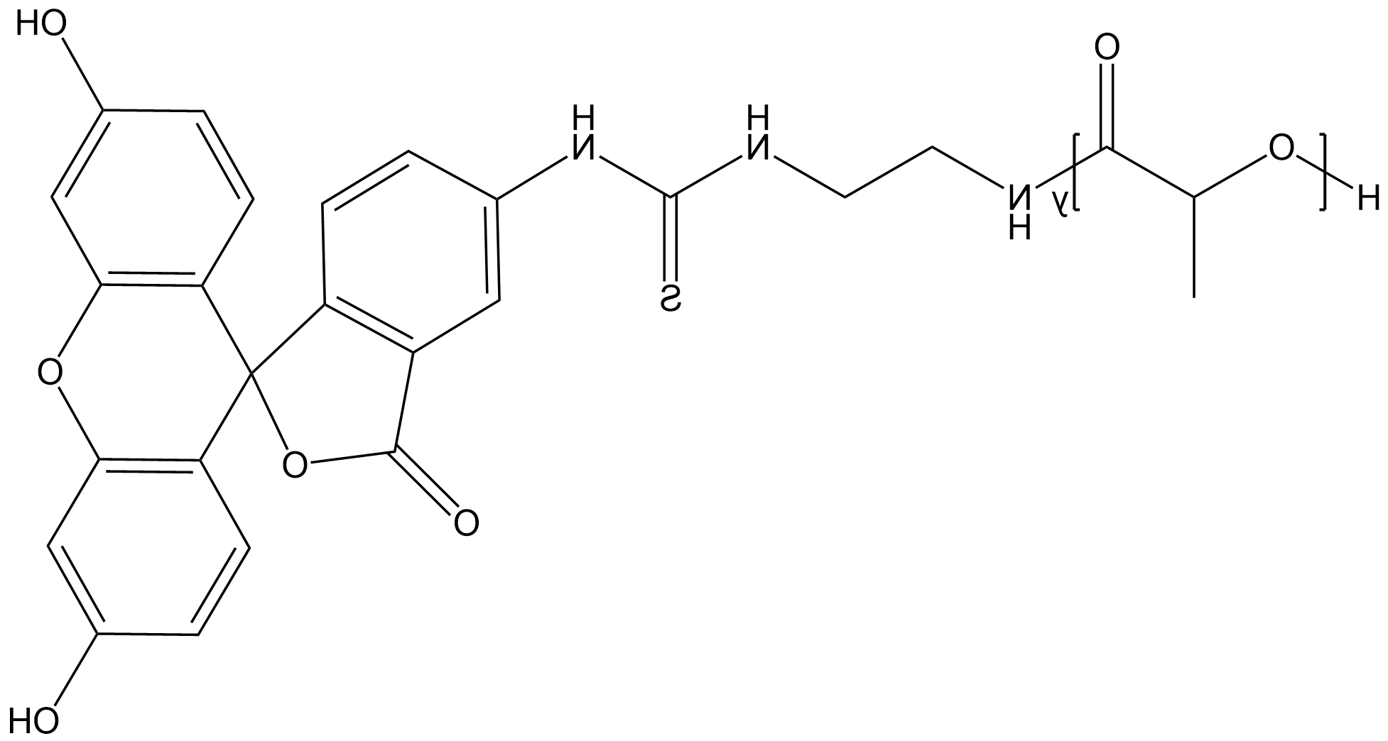 PLA-FITC，聚乳酸-异硫氰基荧光素