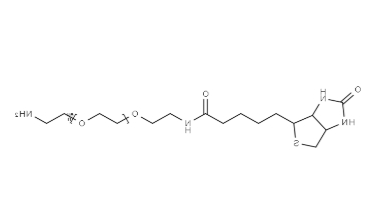 （+）-Biotin-PEG11-CH2CH2NH2