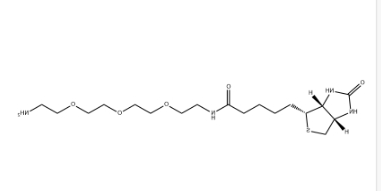 （+）-Biotin-PEG3-CH2CH2NH2