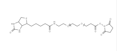 （+）-Biotin-PEG12-NHS Ester