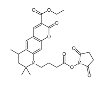 Atto 425-NHS酯 